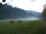Nebelschwaden im Erzgebirge
