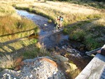 Mountainbiking im Erzgebirge